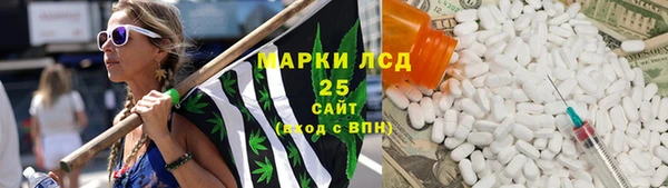 гашик Беломорск