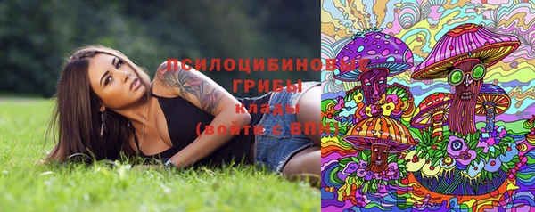 гашик Беломорск