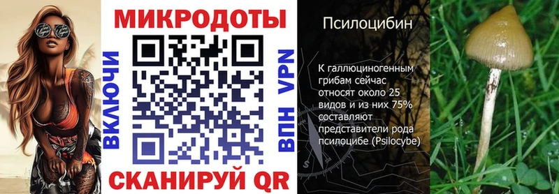 где можно купить наркотик  Михайлов  Псилоцибиновые грибы Magic Shrooms 